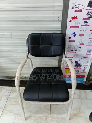Catalina Visitor Chair With a Chrome-Plated Metal Frame and Fixed