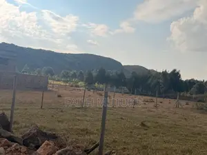 Plot(s) for Sale