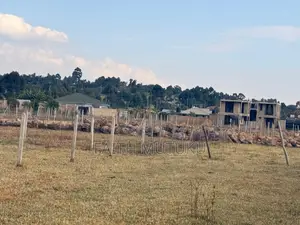 Plot(s) for Sale