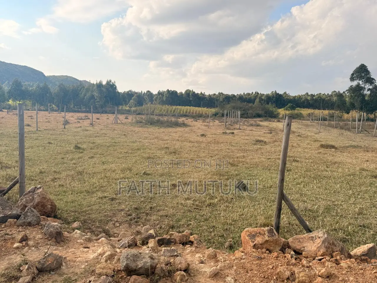 Plot(s) for Sale