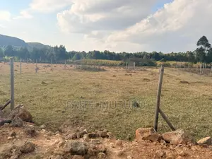 Plot(s) for Sale