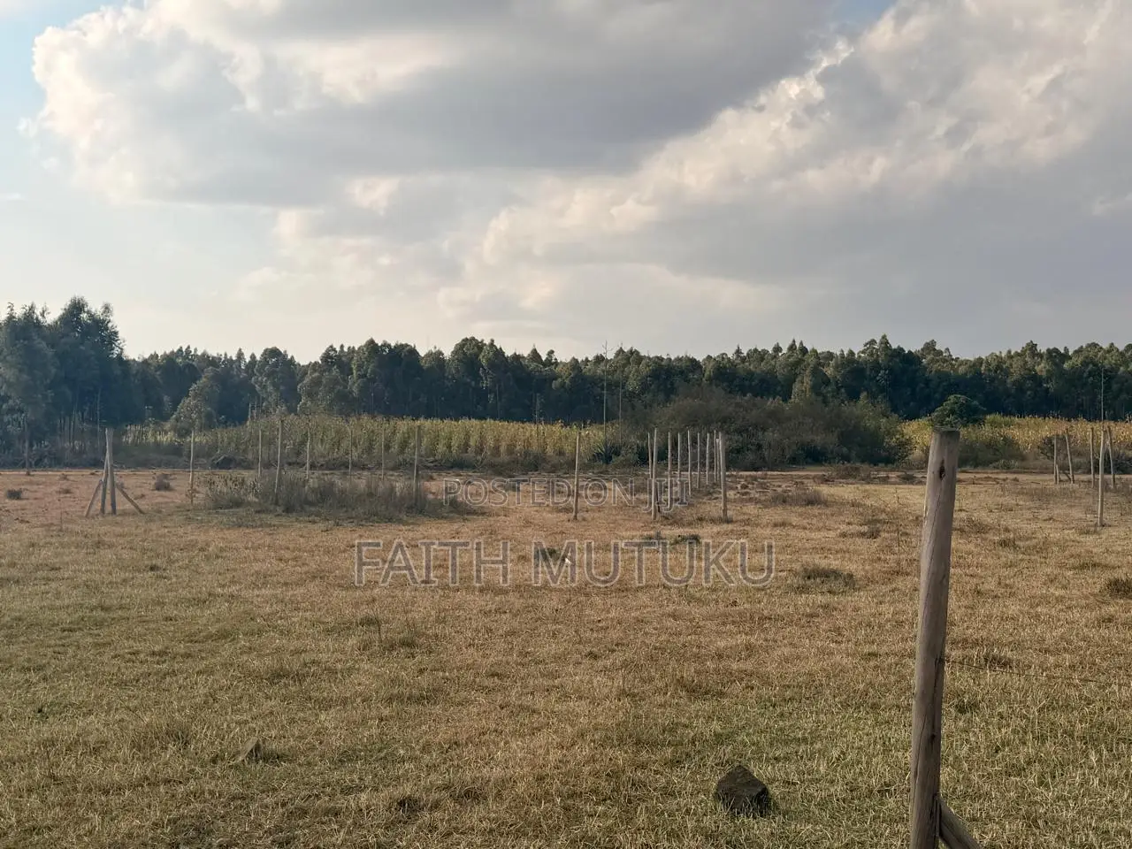 Plot(s) for Sale