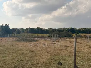 Plot(s) for Sale