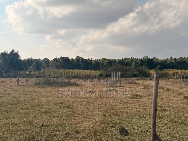 Plot(s) for Sale - thumbnail 4
