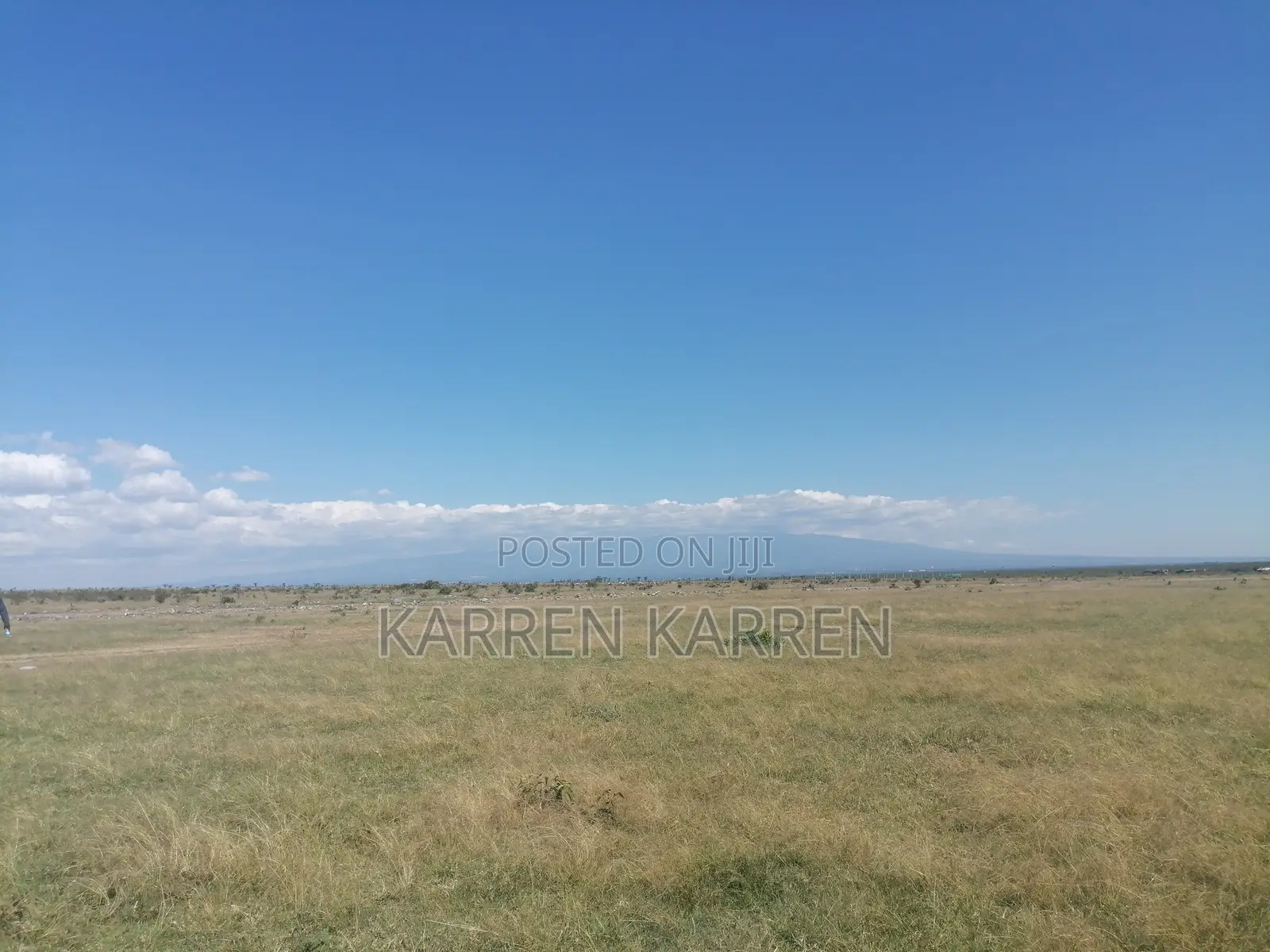 Affordable 1.5-Acre Plot for Sale in Nanyuki –– KSh Per Acre