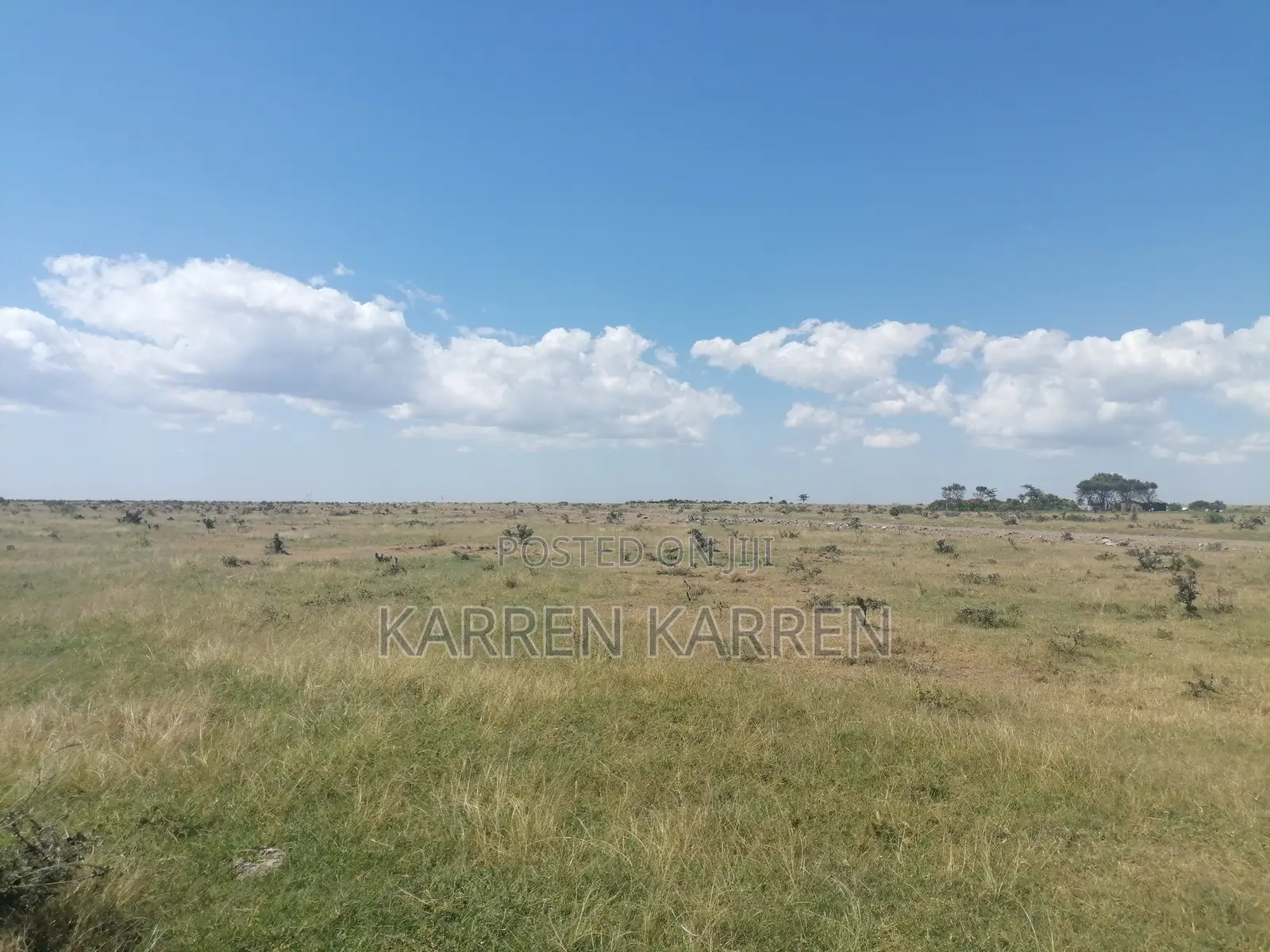 Affordable 1.5-Acre Plot for Sale in Nanyuki –– KSh Per Acre