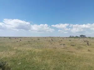 Affordable 1.5-Acre Plot for Sale in Nanyuki –– KSh Per Acre