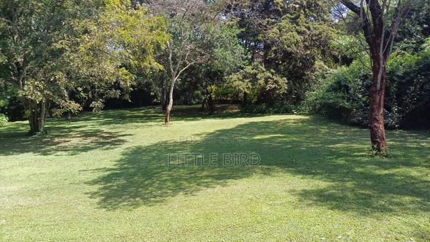 5bdrm House in Hardy for sale - thumbnail 16