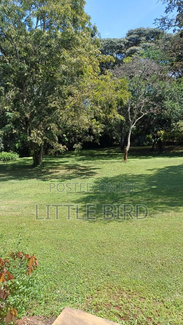 5bdrm House in Hardy for sale - thumbnail 17