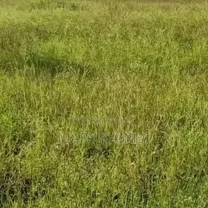 Kamulu 5 Acres Near Kagundo Rd