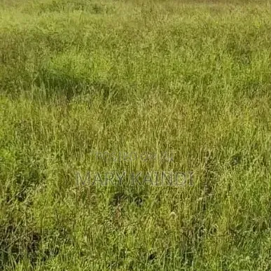 Kamulu 5 Acres Near Kagundo Rd