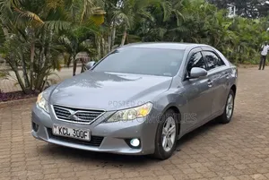Toyota Mark X 2010 Gray