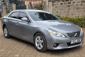 Toyota Mark X 2010 Gray