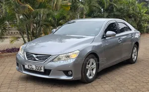 Toyota Mark X 2010 Gray