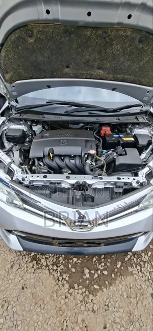 Toyota Axio 1.5 G 4WD 2019 Silver