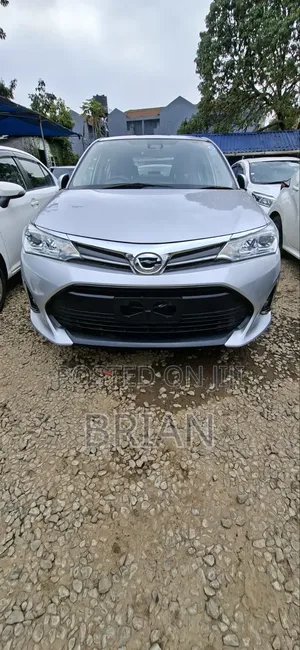 Toyota Axio 1.5 G 4WD 2019 Silver