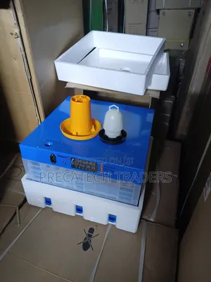 128 Capacity Automatic Egg Incubator With Temperature Control