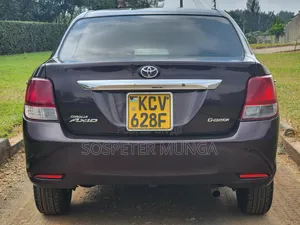 Toyota Axio 2013