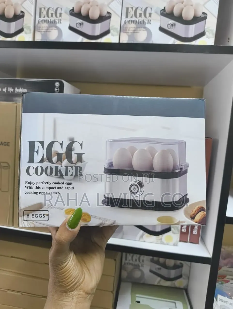 Electric Egg Boiler | 6 Egg Capacity | Auto Timer
