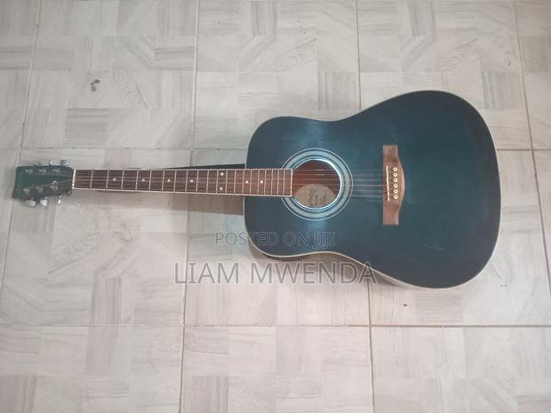 Martin Co Guitar - main view