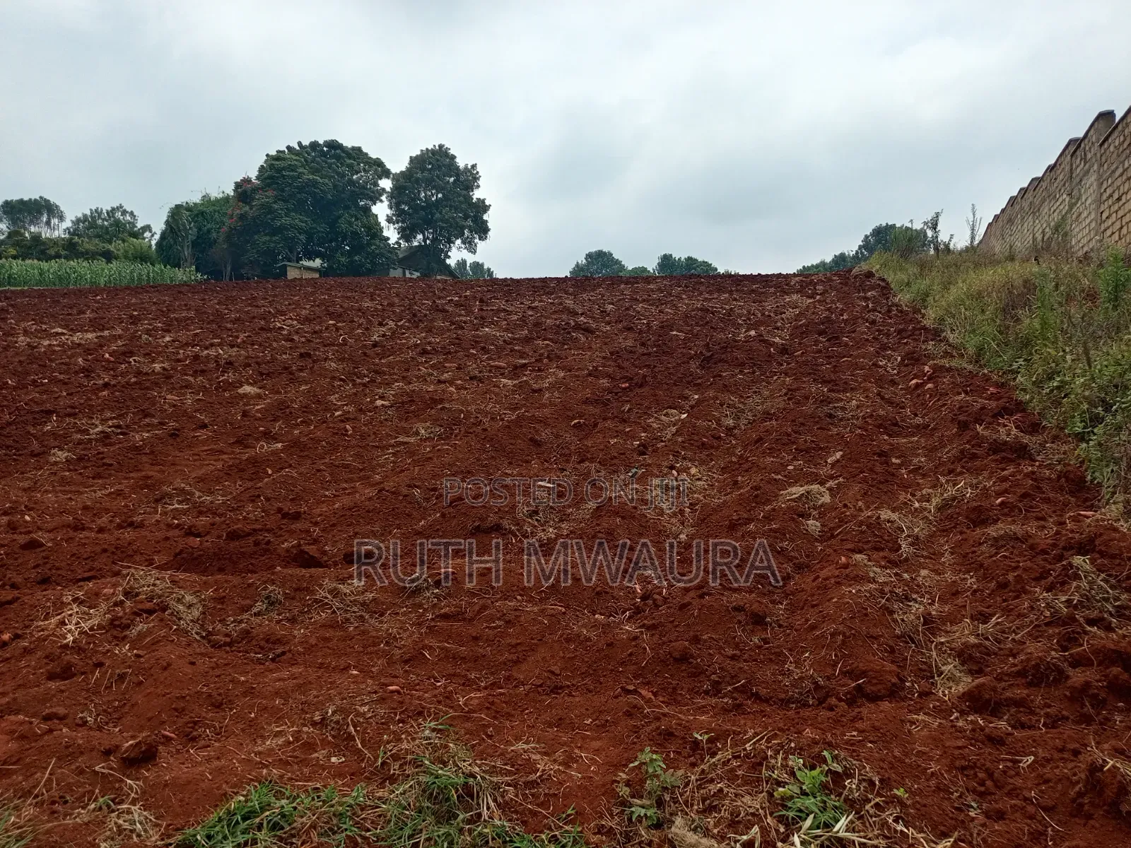 Prime 2-Acre Land for Sale | Tigoni, Limuru