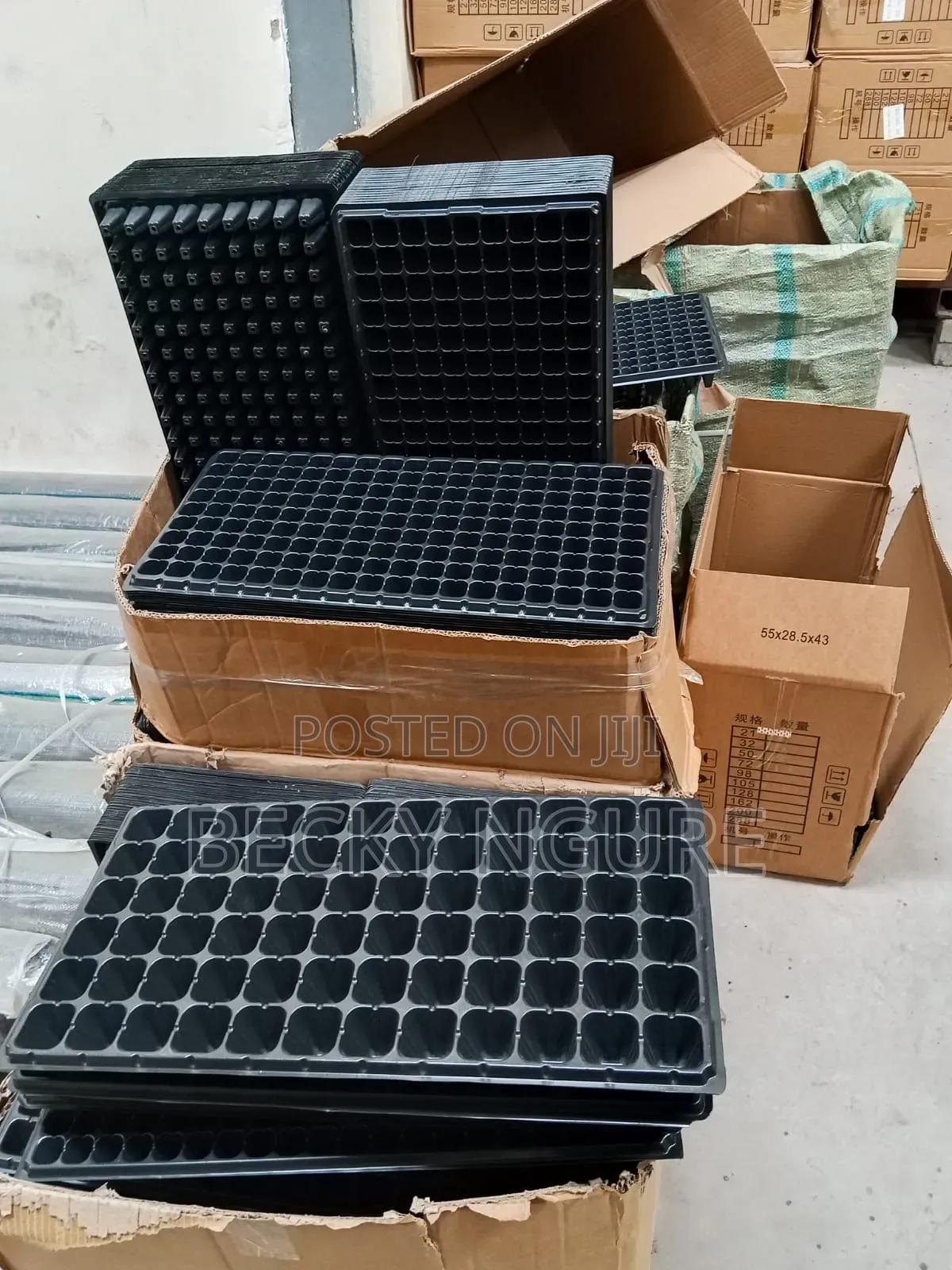 Seed Trays