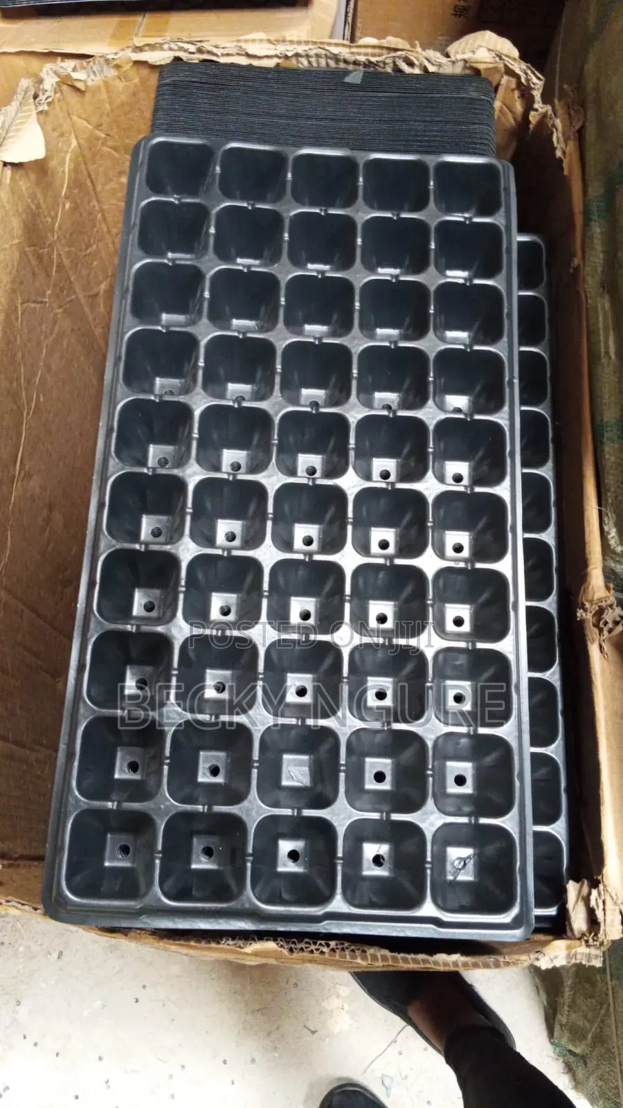 Seed Trays