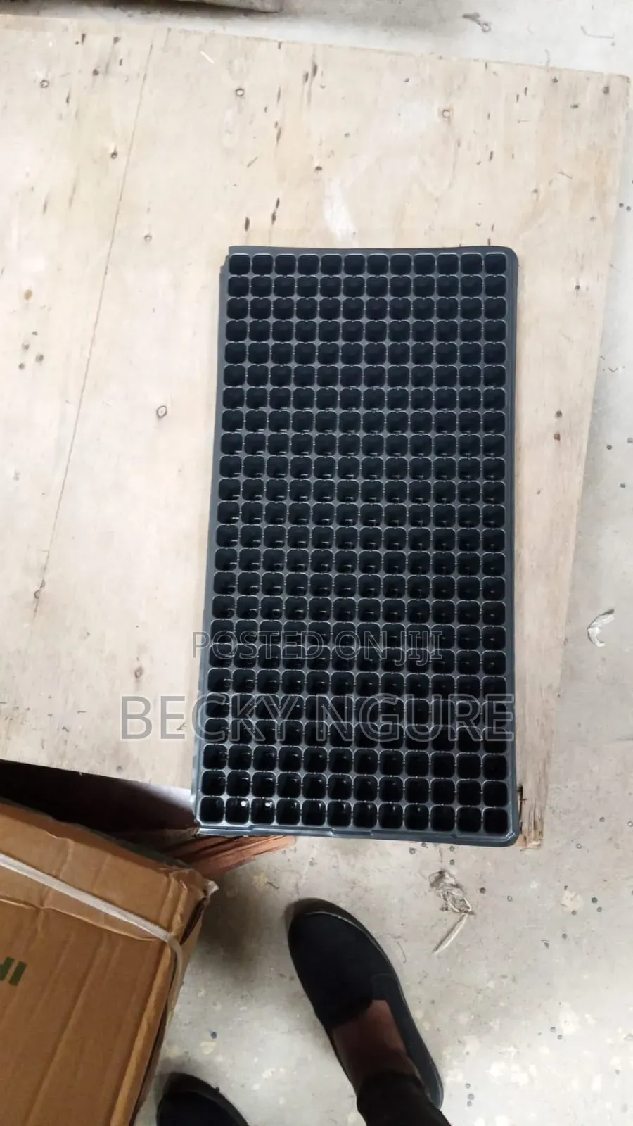 Seed Trays