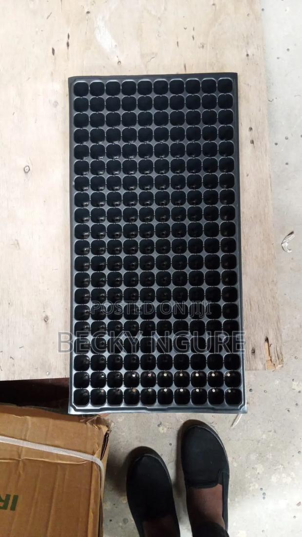 Seed Trays - thumbnail 4