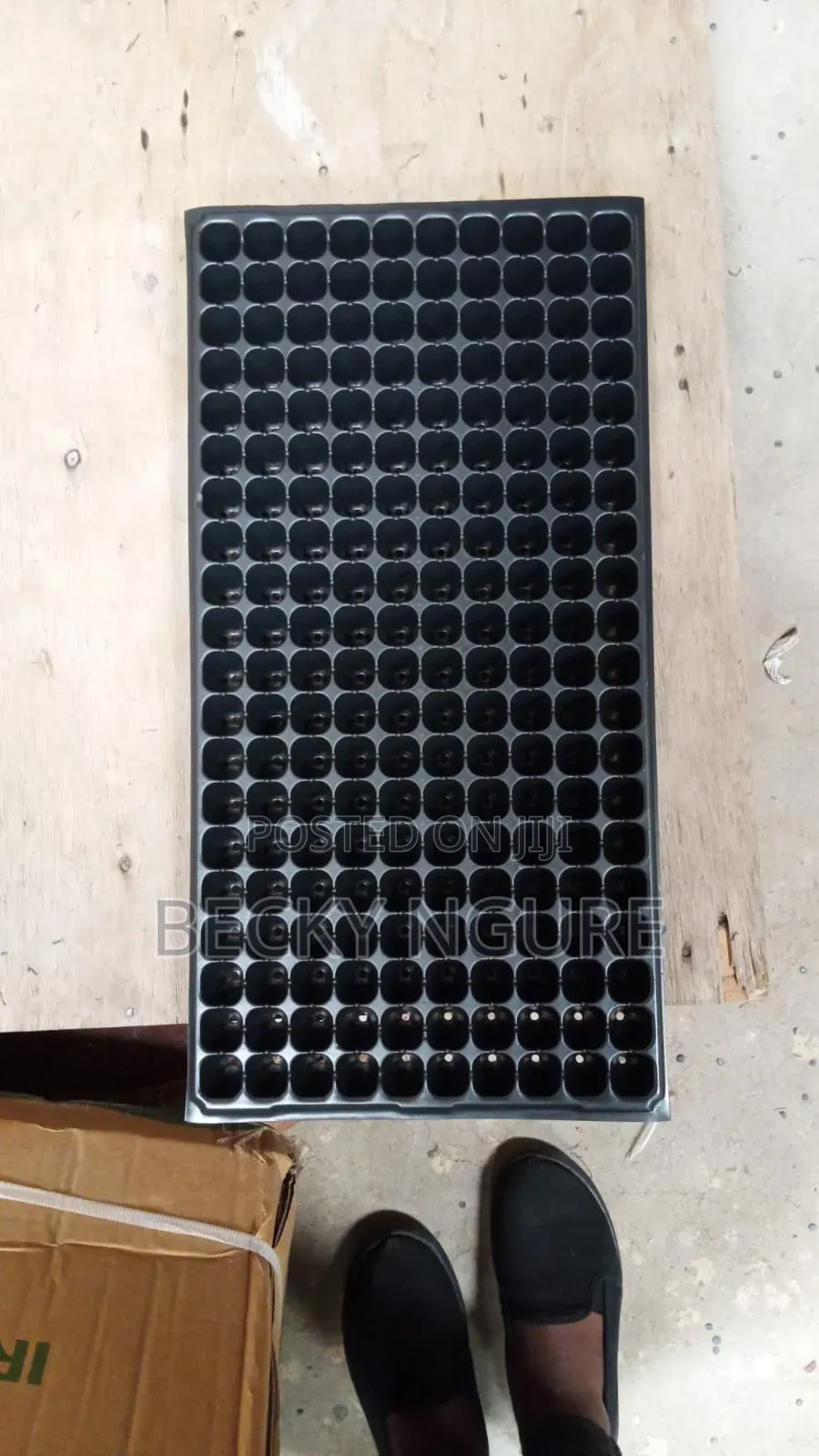 Seed Trays