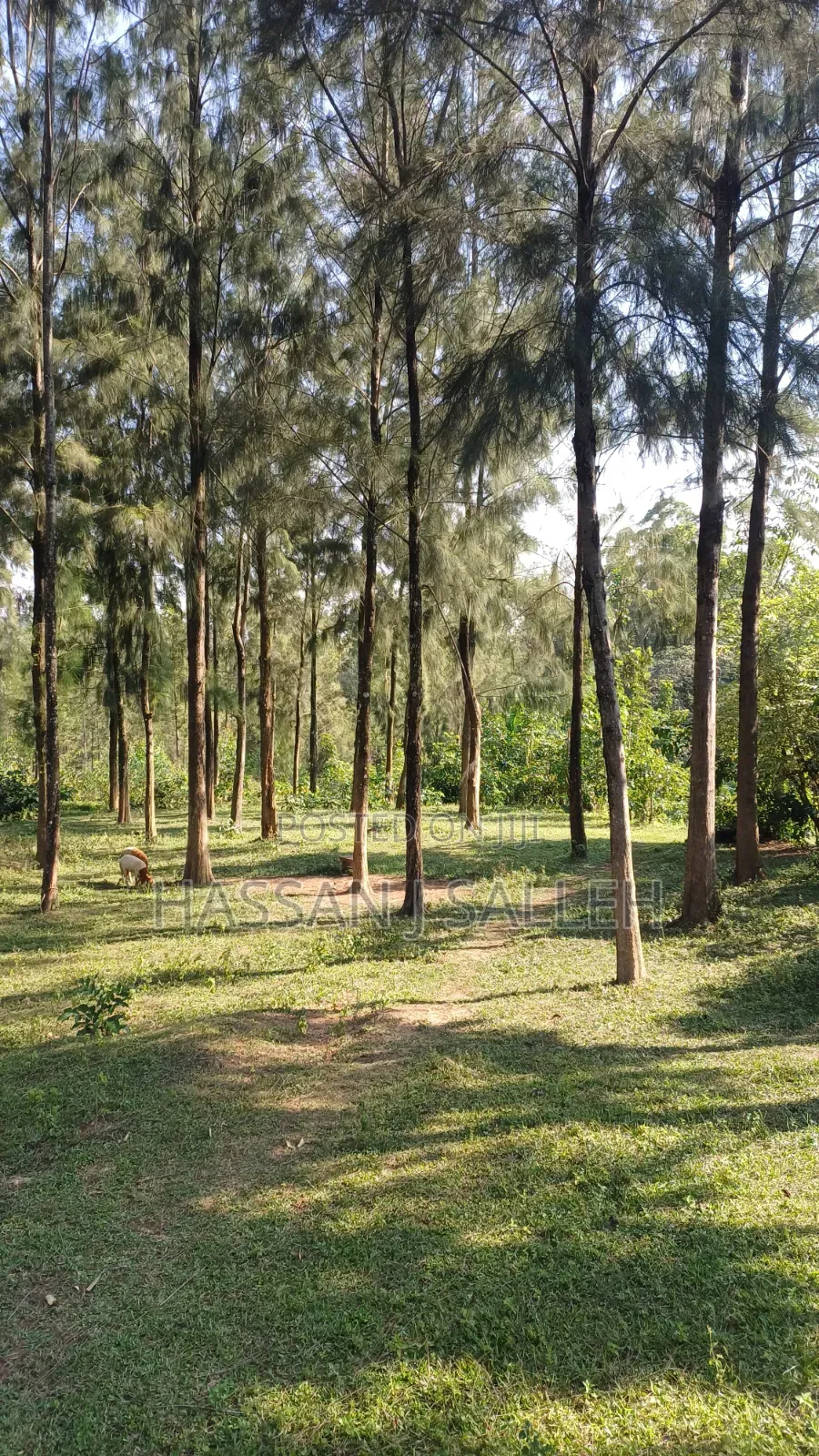 2acres Land on Sale Inaya.