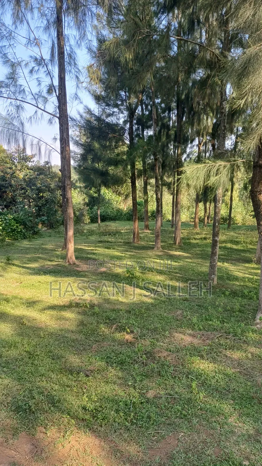 2acres Land on Sale Inaya.
