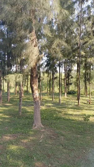 2acres Land on Sale Inaya.