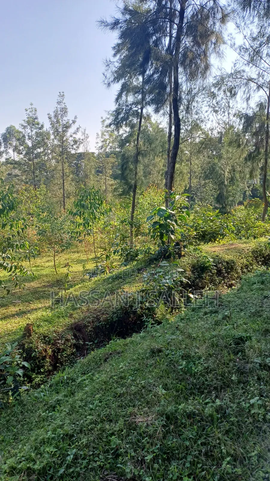 2acres Land on Sale Inaya.