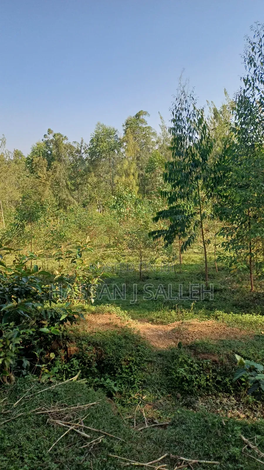 2acres Land on Sale Inaya.