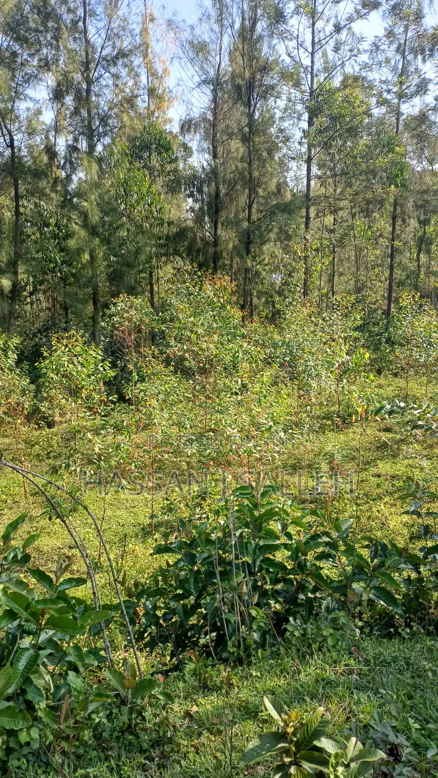 2acres Land on Sale Inaya.