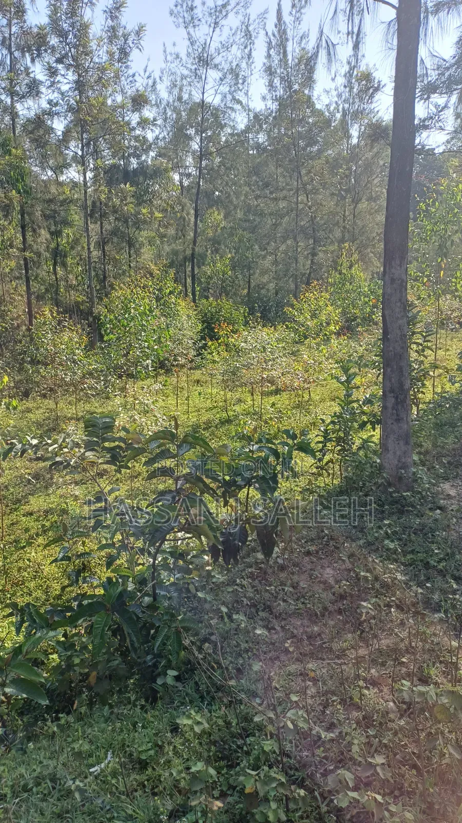 2acres Land on Sale Inaya.