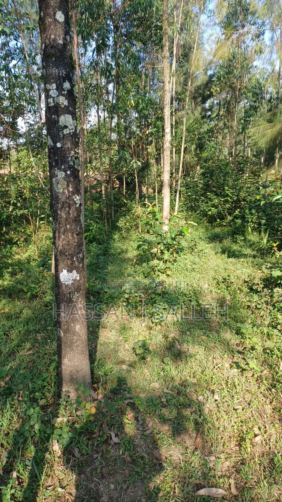 2acres Land on Sale Inaya.