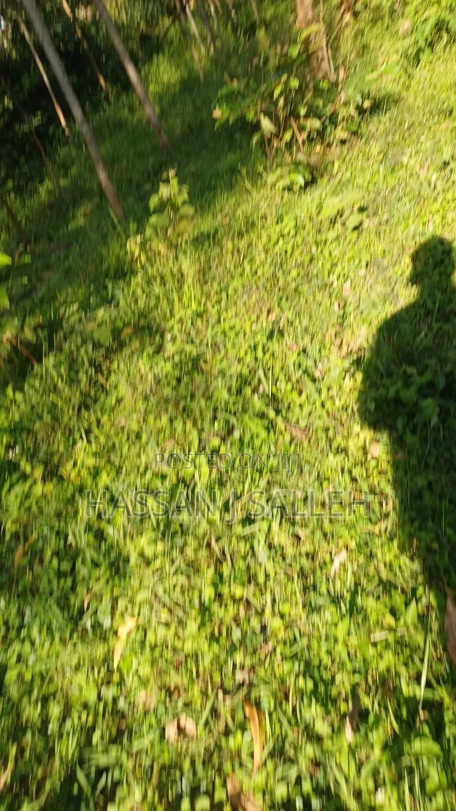 2acres Land on Sale Inaya.
