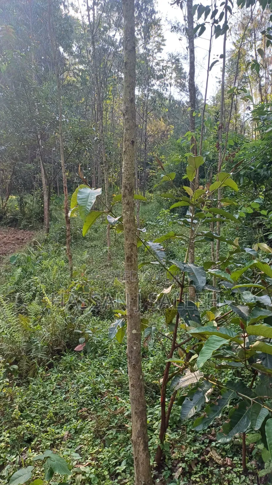2acres Land on Sale Inaya.