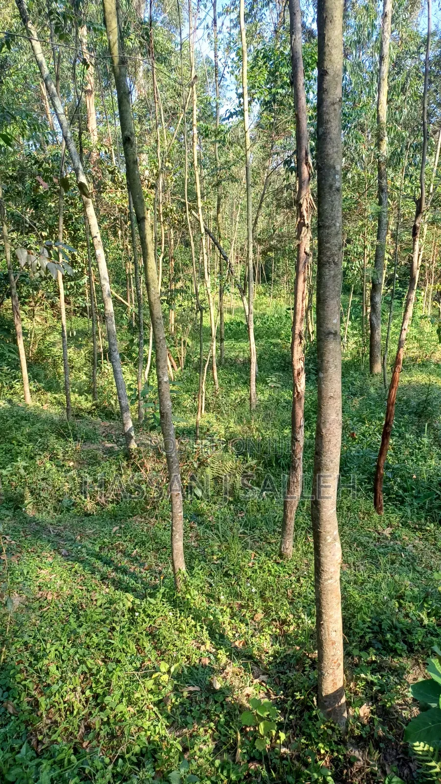 2acres Land on Sale Inaya.