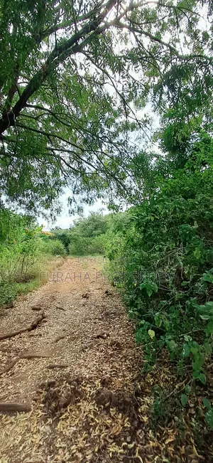 For Sale 3 Acres Land Chale South Coast