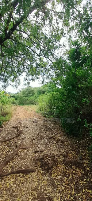 For Sale 3 Acres Land Chale South Coast