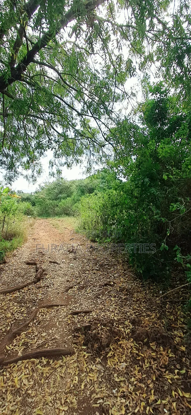 For Sale 3 Acres Land Chale South Coast