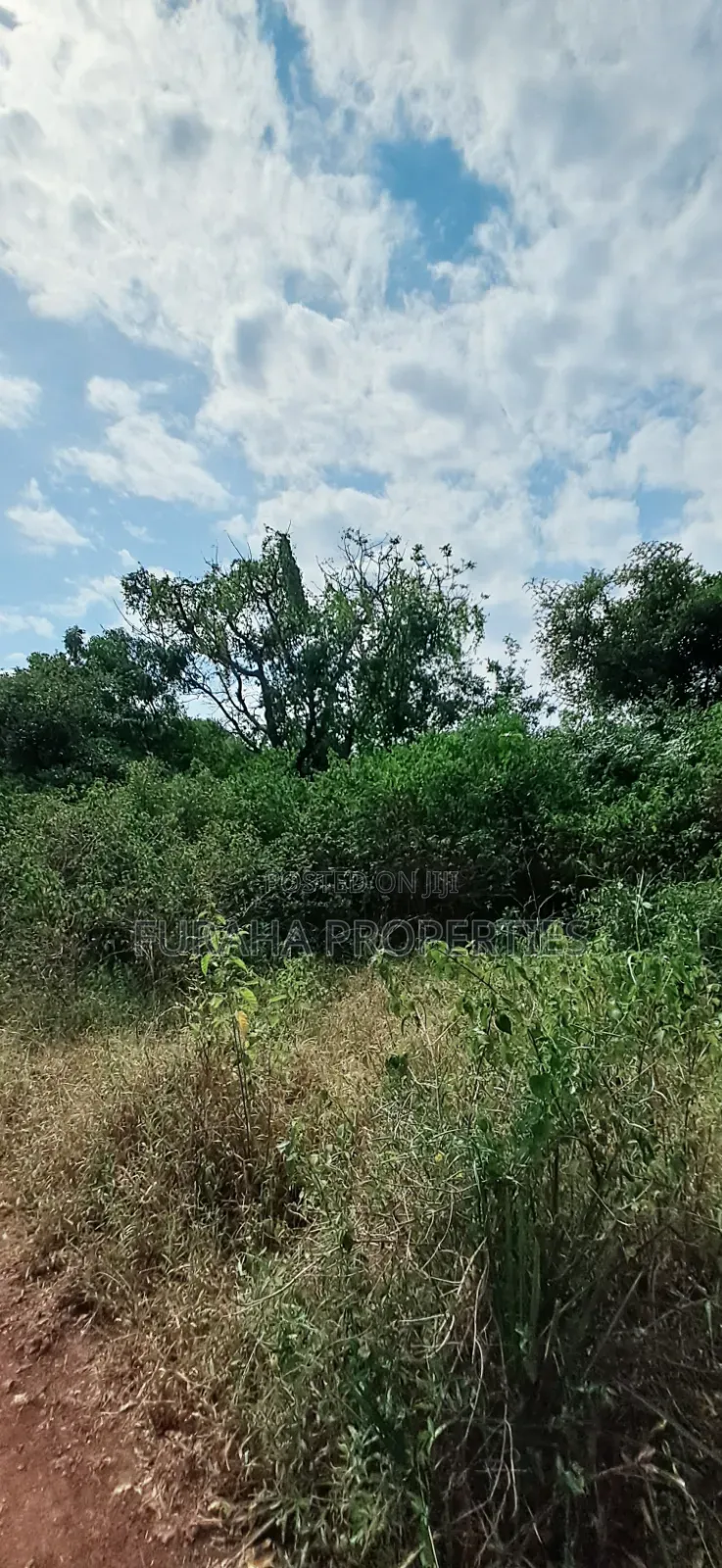 For Sale 3 Acres Land Chale South Coast