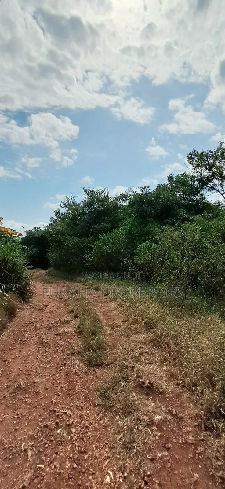 For Sale 3 Acres Land Chale South Coast
