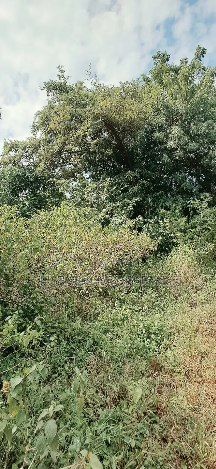 For Sale 3 Acres Land Chale South Coast