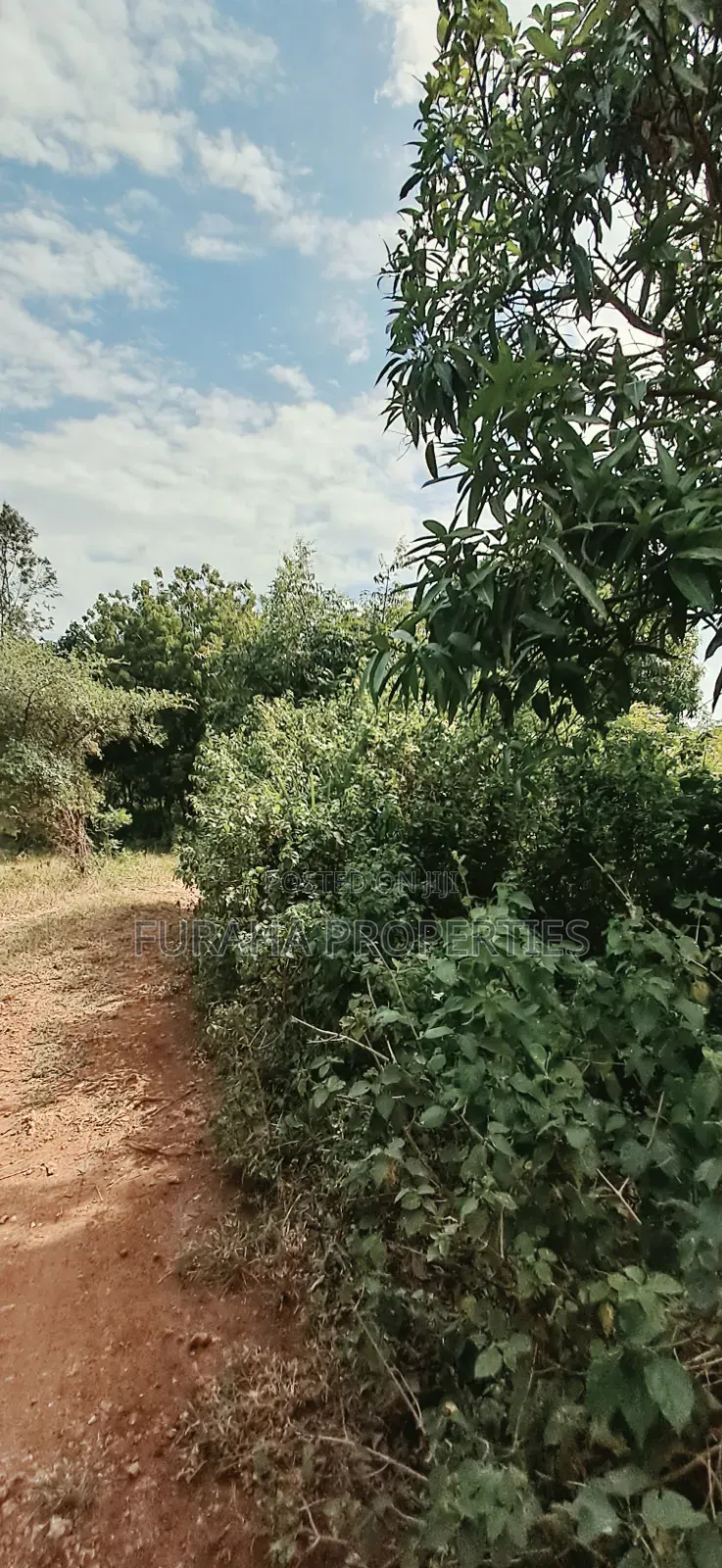For Sale 3 Acres Land Chale South Coast