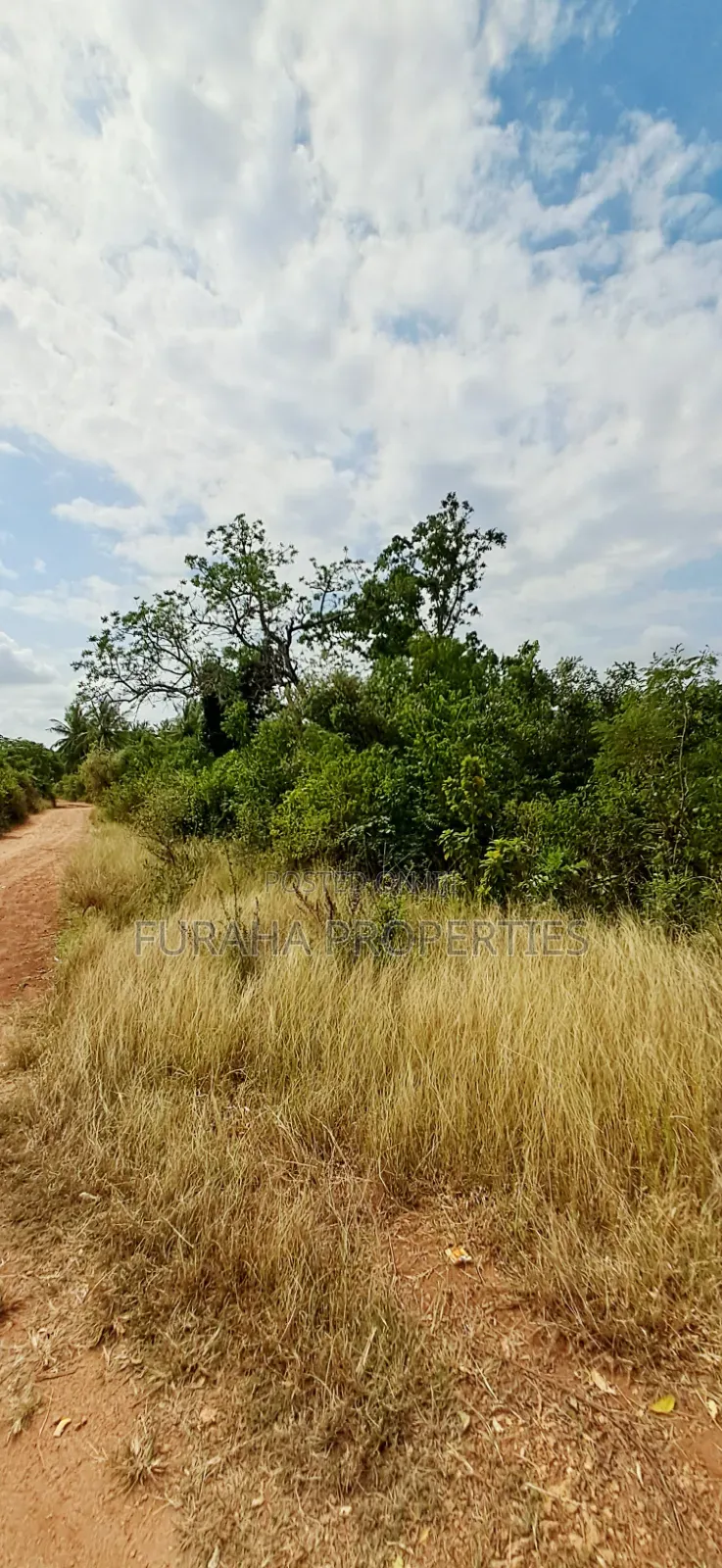 For Sale 3 Acres Land Chale South Coast