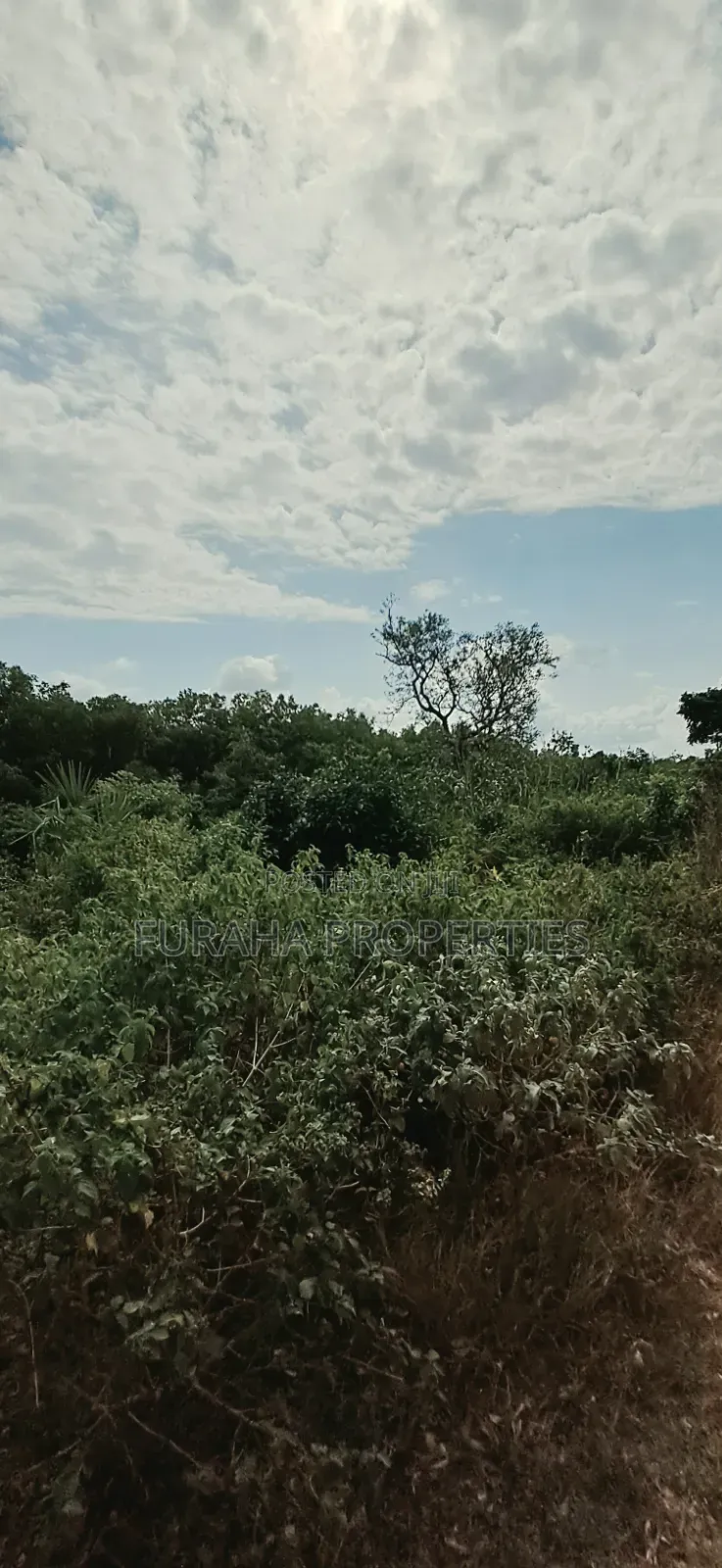 For Sale 3 Acres Land Chale South Coast